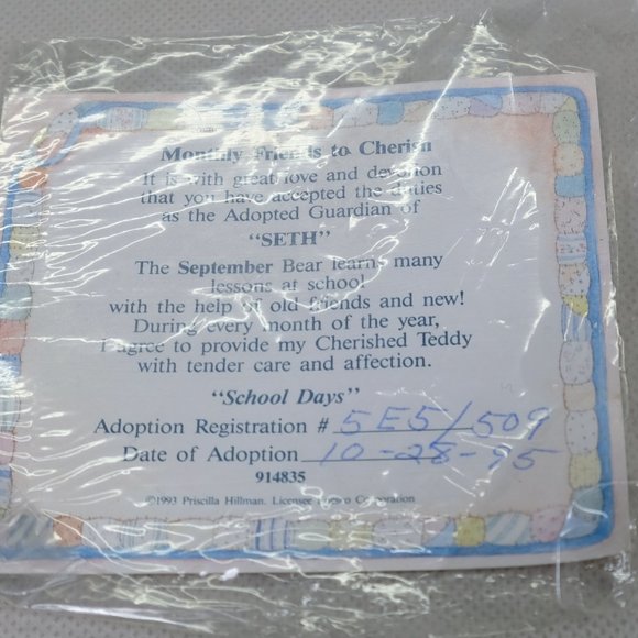 Cherished Teddies Monthly Friends to Cherish September Bear "Seth" Figurine 1993 - Picture 3 of 6